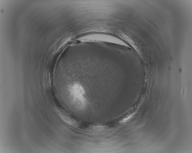 X0000071860205200607141823