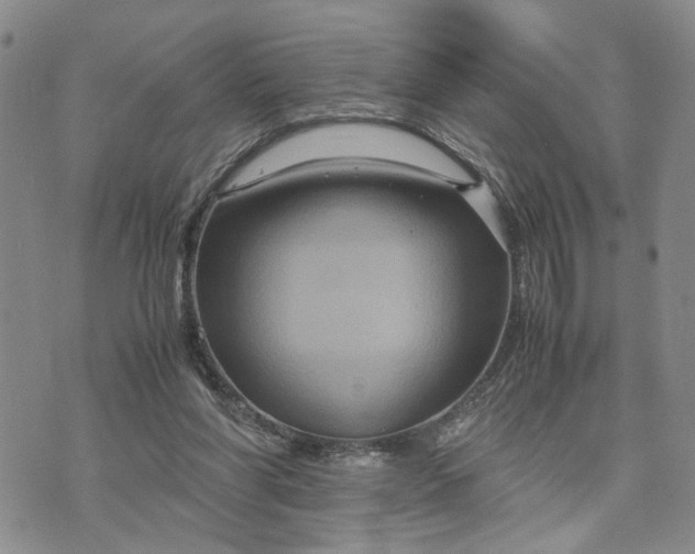 X0000071860206200607141823