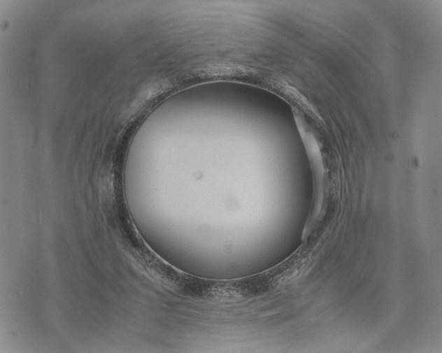 X0000071860207200607141823