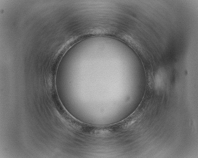 X0000071860208200607141823