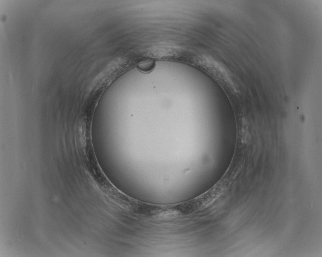 X0000071860210200607141823