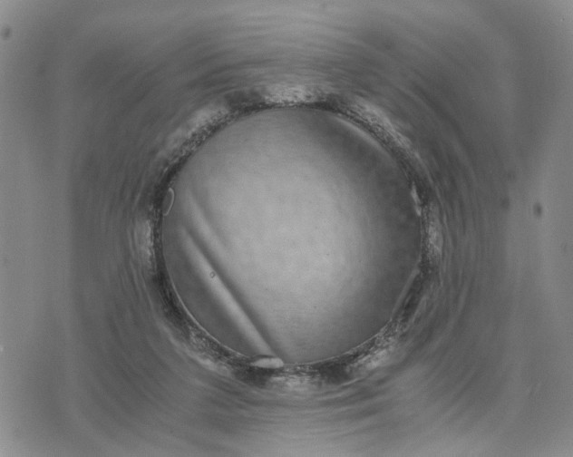 X0000071860211200607141823