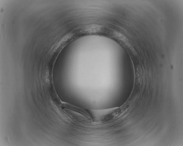 X0000071860212200607141823