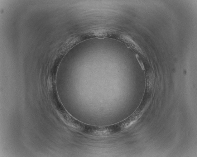 X0000071860213200607141823