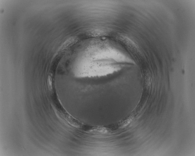 X0000071860214200607141823