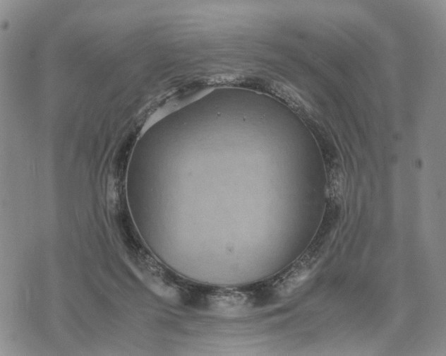 X0000071860215200607141823