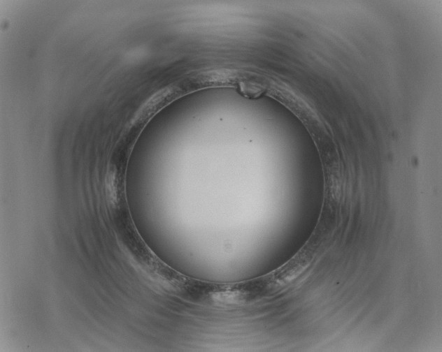 X0000071860216200607141823