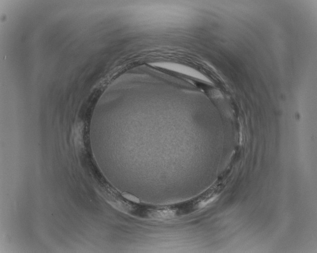 X0000071860217200607141823