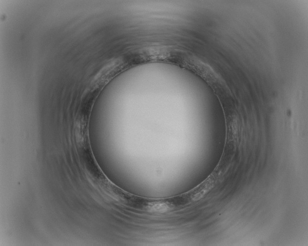 X0000071860218200607141823