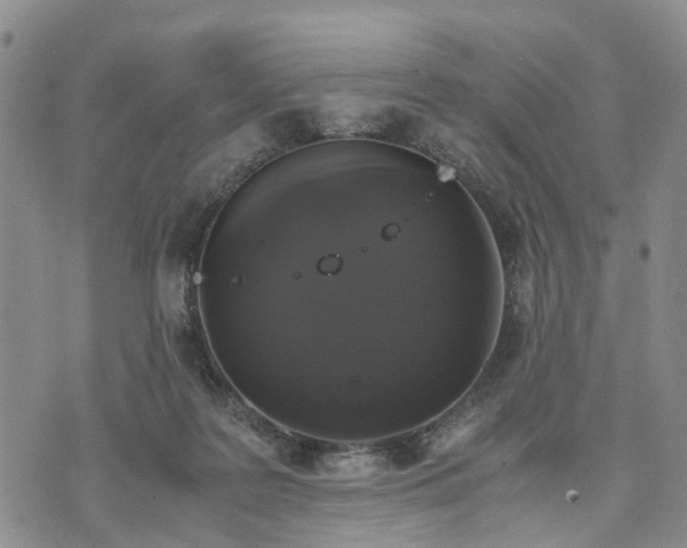 X0000071860219200607141823