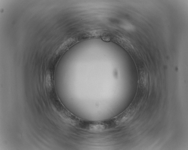 X0000071860220200607141823