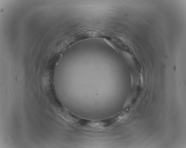 X0000071860221200607141823