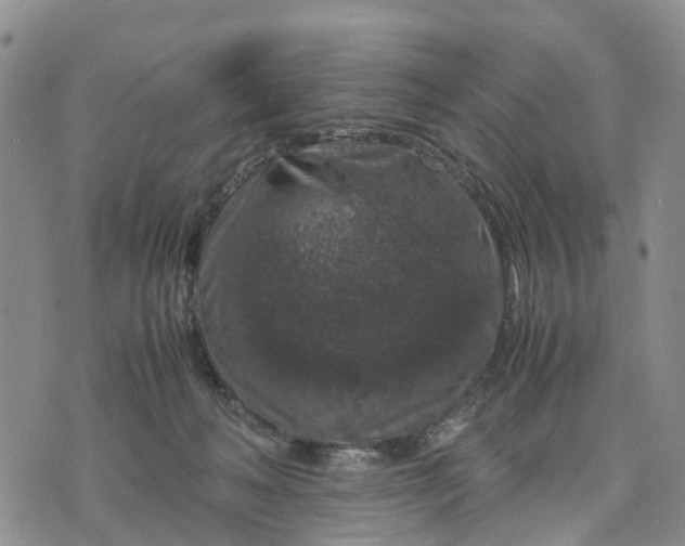 X0000071860222200607141823