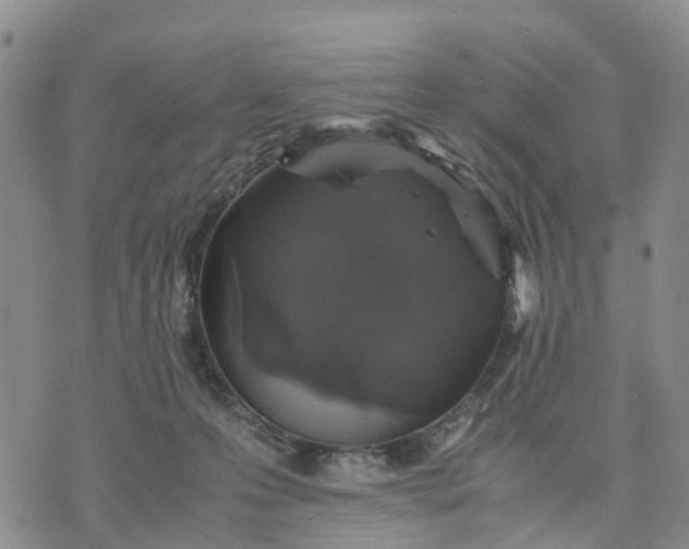 X0000071860223200607141823