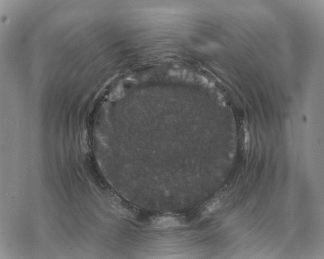 X0000071860224200607141823