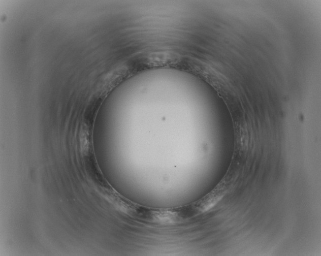 X0000071860226200607141823