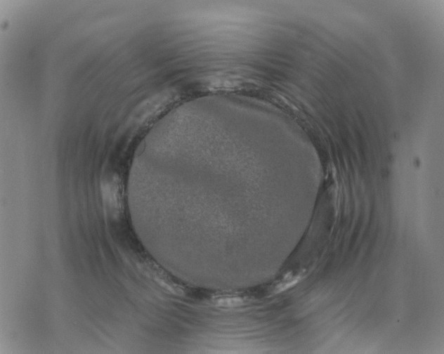 X0000071860228200607141823