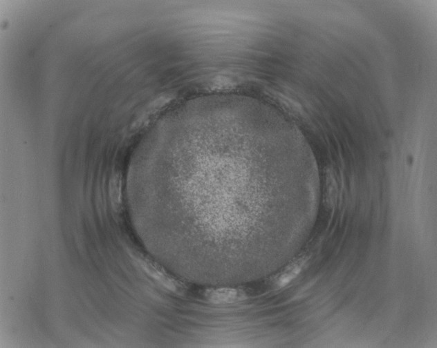 X0000071860230200607141823