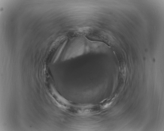 X0000071860231200607141823