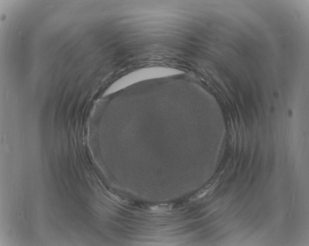 X0000071860232200607141823