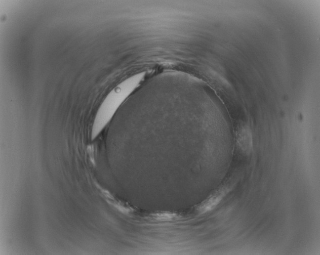 X0000071860233200607141823