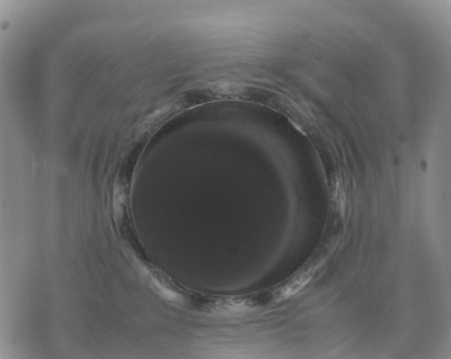 X0000071860235200607141823