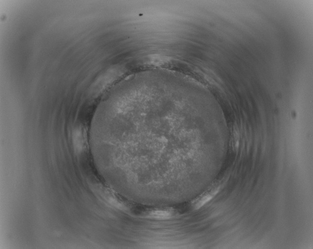 X0000071860236200607141823