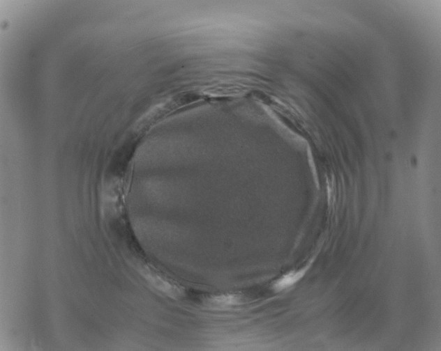 X0000071860237200607141823