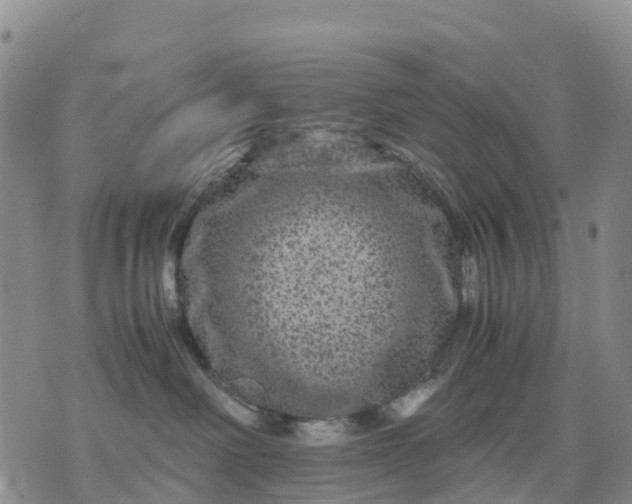 X0000071860238200607141823