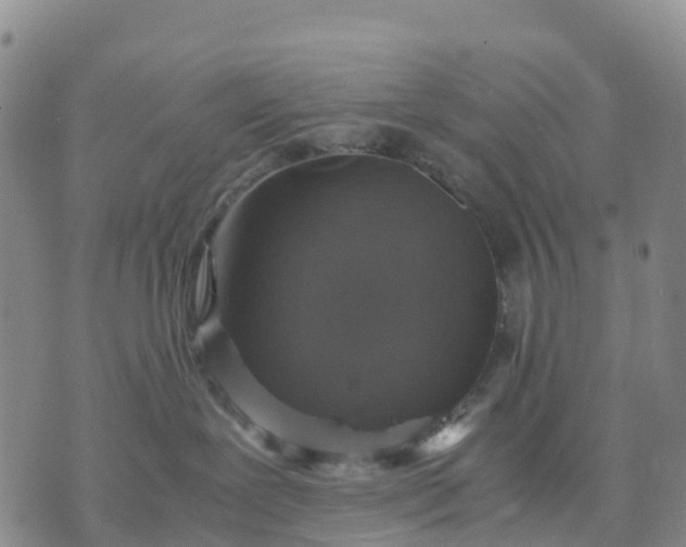 X0000071860239200607141823