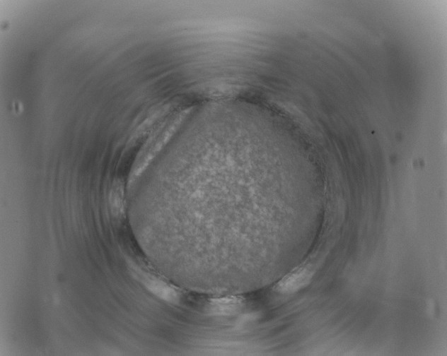 X0000071860240200607141823