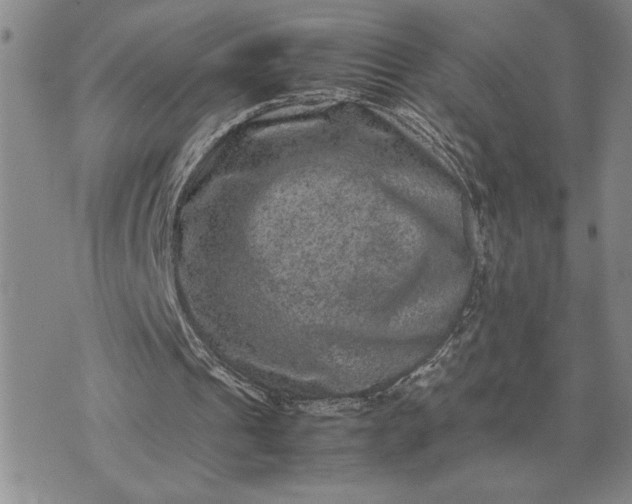 X0000071860241200607141822