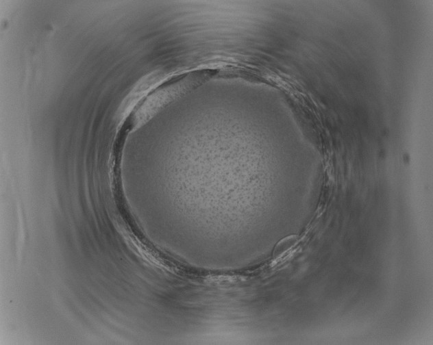 X0000071860242200607141822