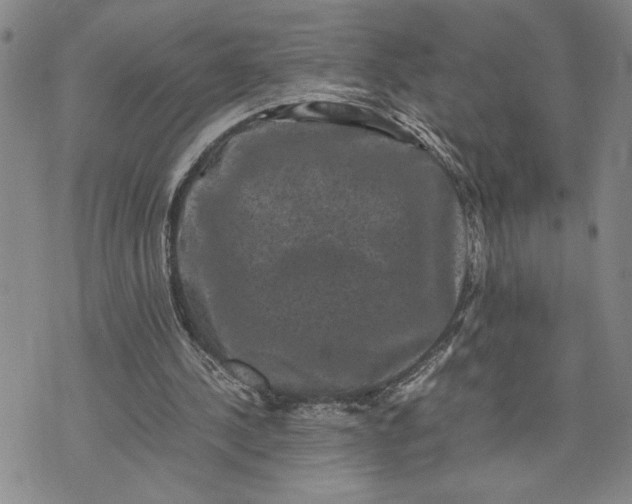 X0000071860244200607141822