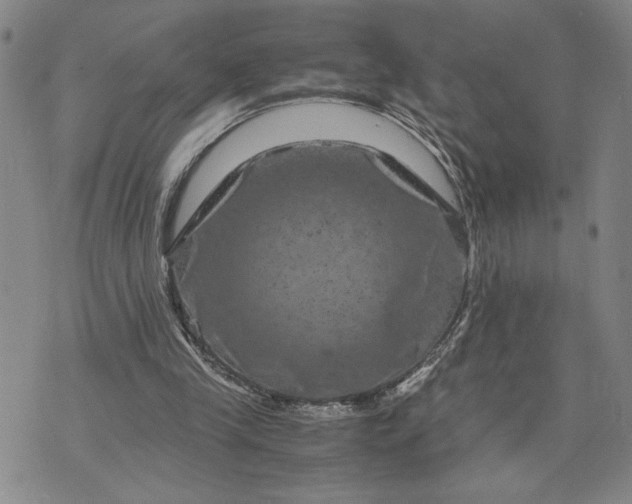 X0000071860245200607141822