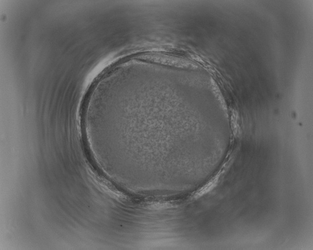 X0000071860246200607141822