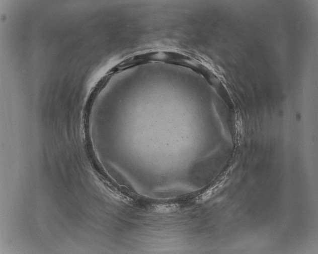 X0000071860248200607141822