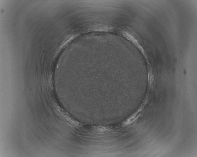 X0000071860249200607141822