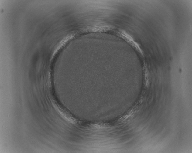 X0000071860250200607141822