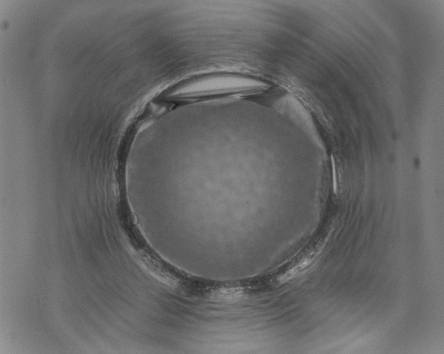 X0000071860252200607141822