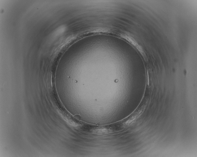 X0000071860253200607141822