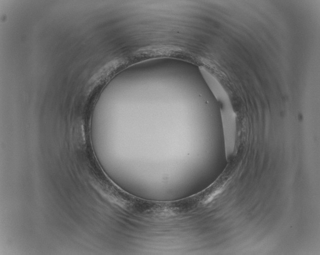 X0000071860254200607141822