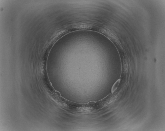 X0000071860255200607141822