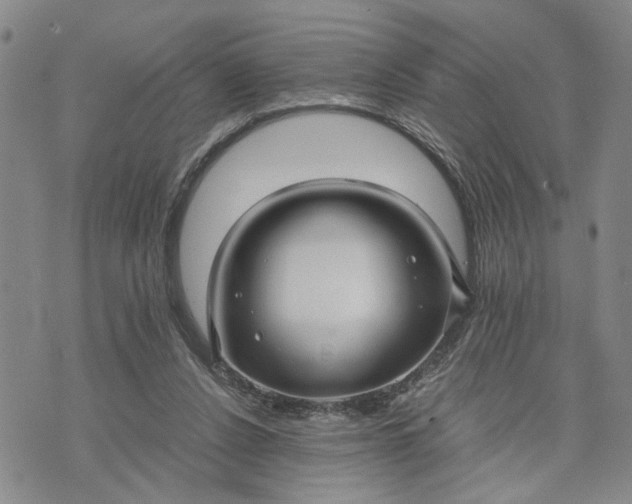 X0000071860256200607141822