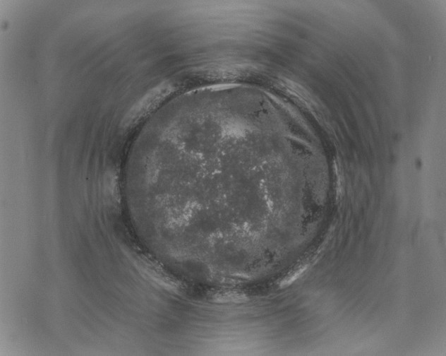 X0000071860258200607141822