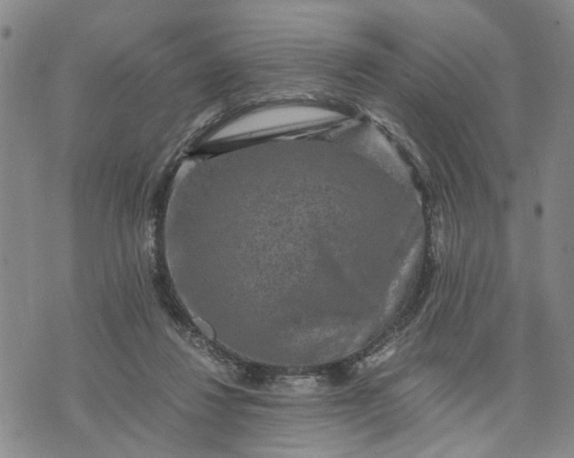 X0000071860260200607141822