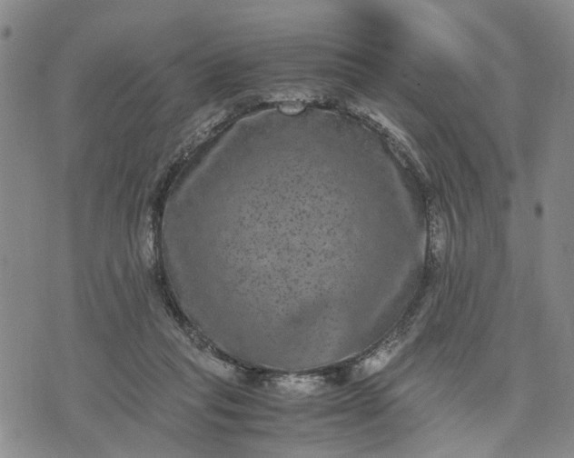 X0000071860261200607141822