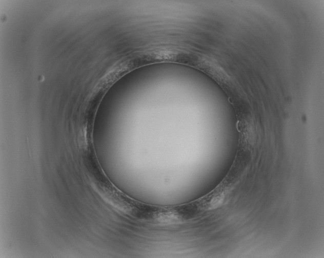 X0000071860262200607141822