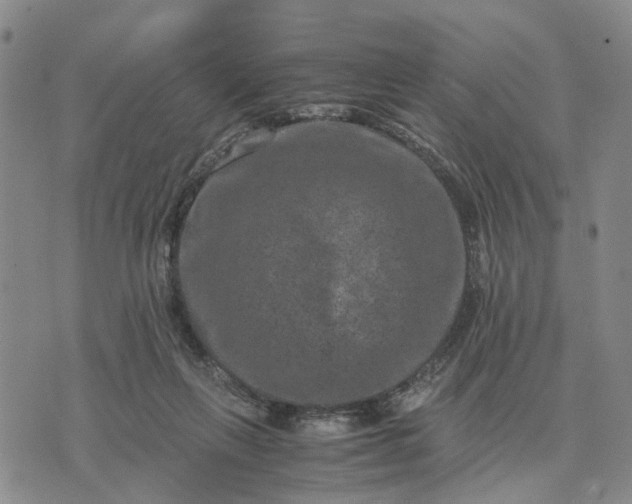 X0000071860263200607141822