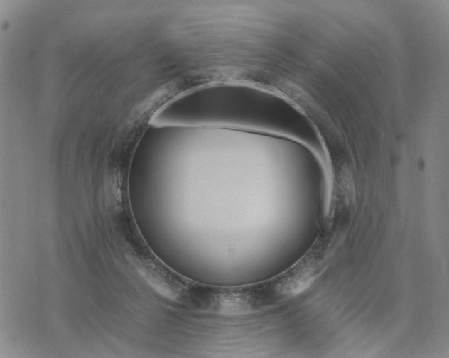 X0000071860264200607141822